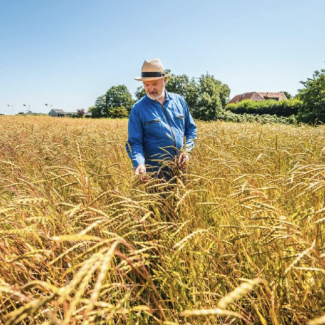 Hoe een chef en een boer samen werken aan een duurzamere ketenNieuwe Blog Artikel